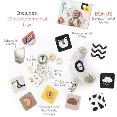 Newborn Developmental & Play Kit