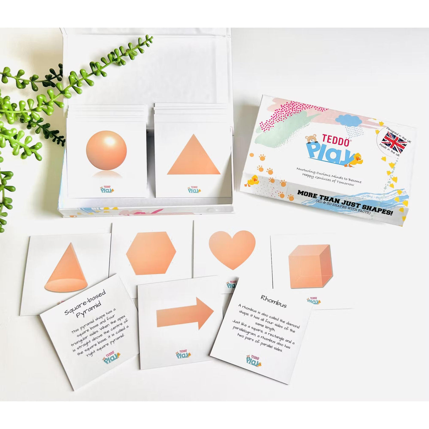 More Than Just Shapes! (2D & 3D Shapes Properties & Facts) - Mini Set of 20