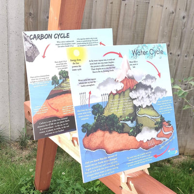 Teddo Play - Carbon Cycle Portable Educational Poster Board with Stand