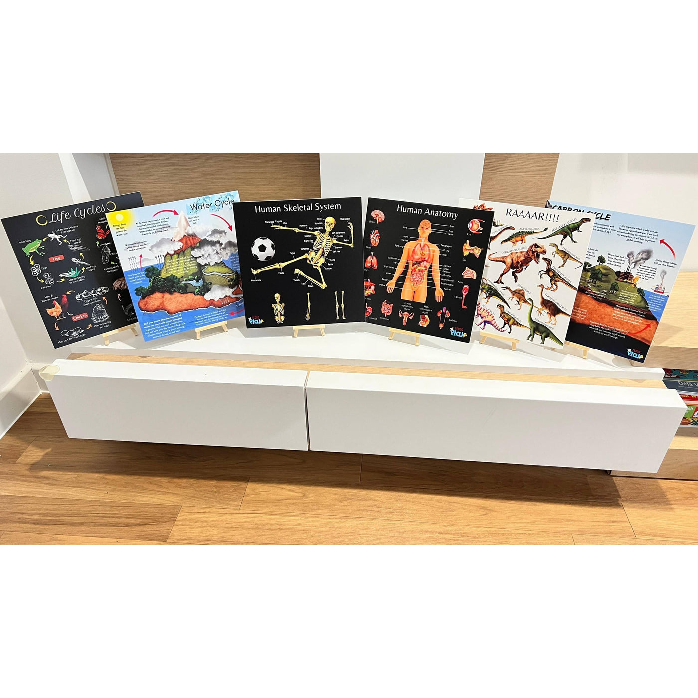 Teddo Play - Collection of 6 Portable Educational Poster Board with Stands