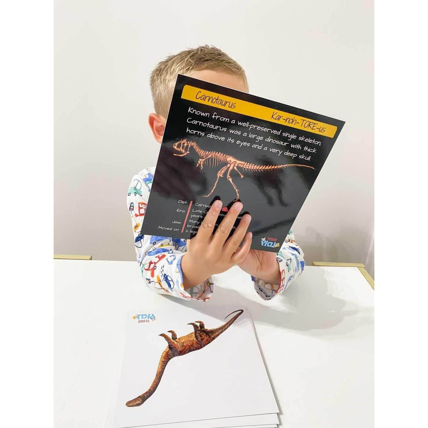 Teddo Play Dinosaurs - From Flesh to Bones (Collector's Edition) Set of Educational Learning Cards