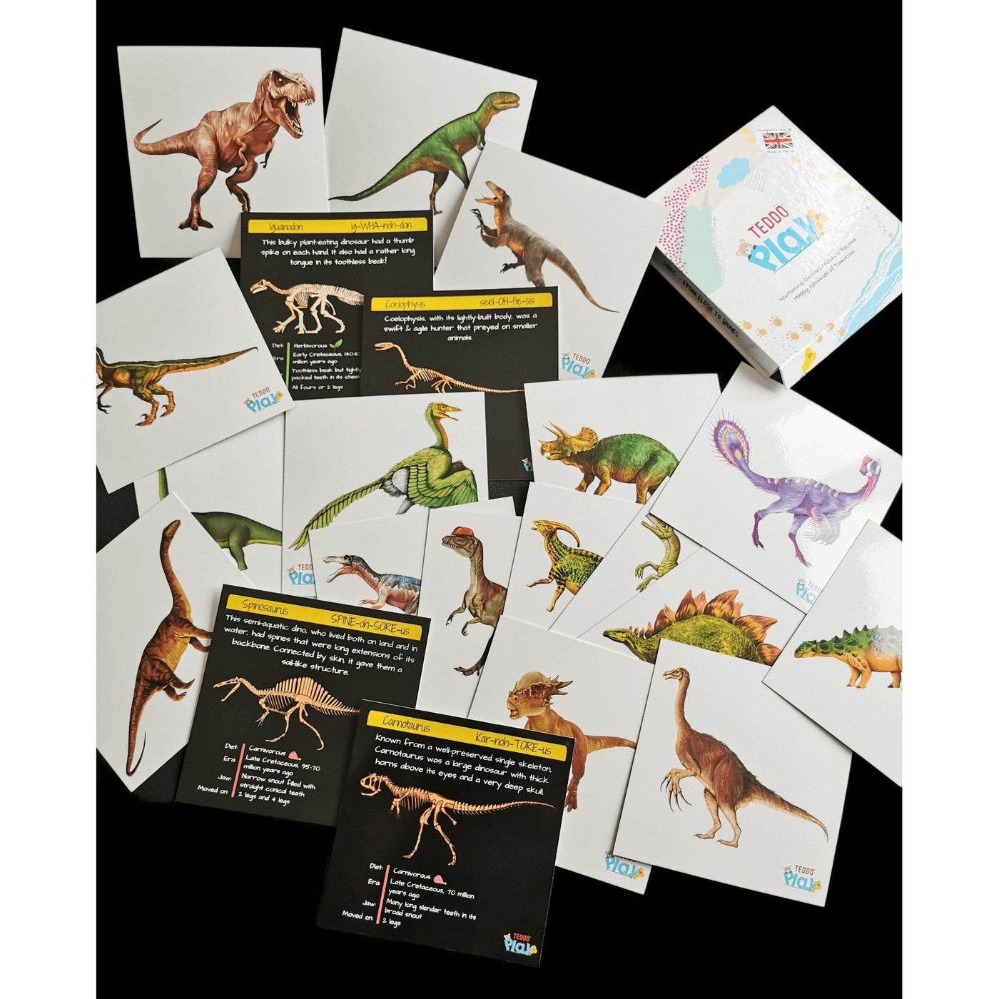 Teddo Play Dinosaurs - From Flesh to Bones (Collector's Edition) Set of Educational Learning Cards