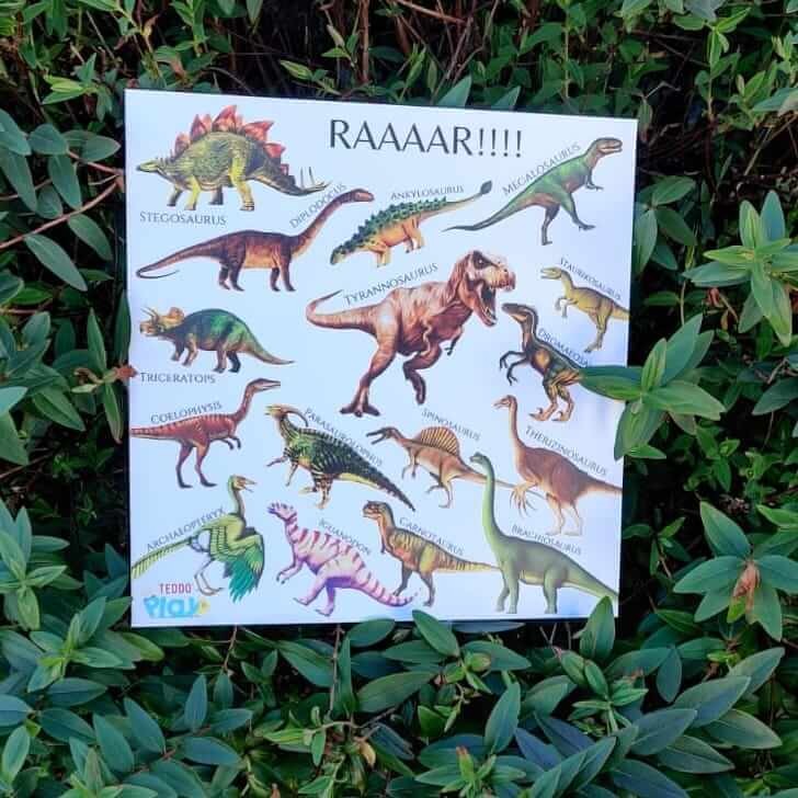 Teddo Play - RAAR! Dinosaurs Portable Educational Poster Board with Stand
