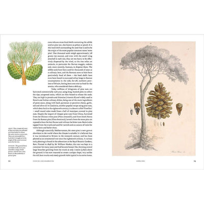 Remarkable Trees - Christina Harrison And Tony Kirkham