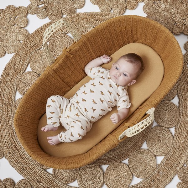 Moses Basket And Stand Bundle - Honey