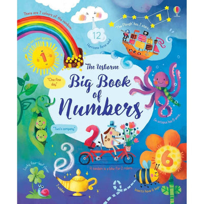 Big Book Of Numbers - Felicity Brooks