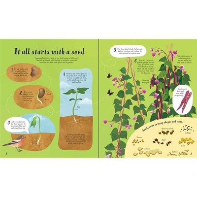 It All Starts With A Seed... How Food Grows: 1 - Emily Bone & Sally Elford