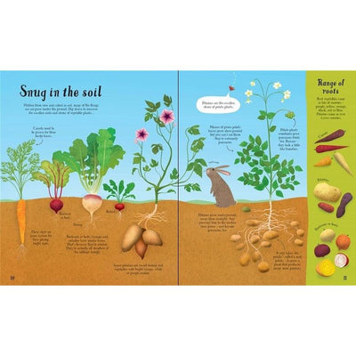 It All Starts With A Seed... How Food Grows: 1 - Emily Bone & Sally Elford