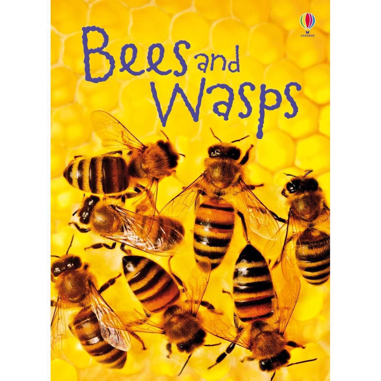 Bees And Wasps