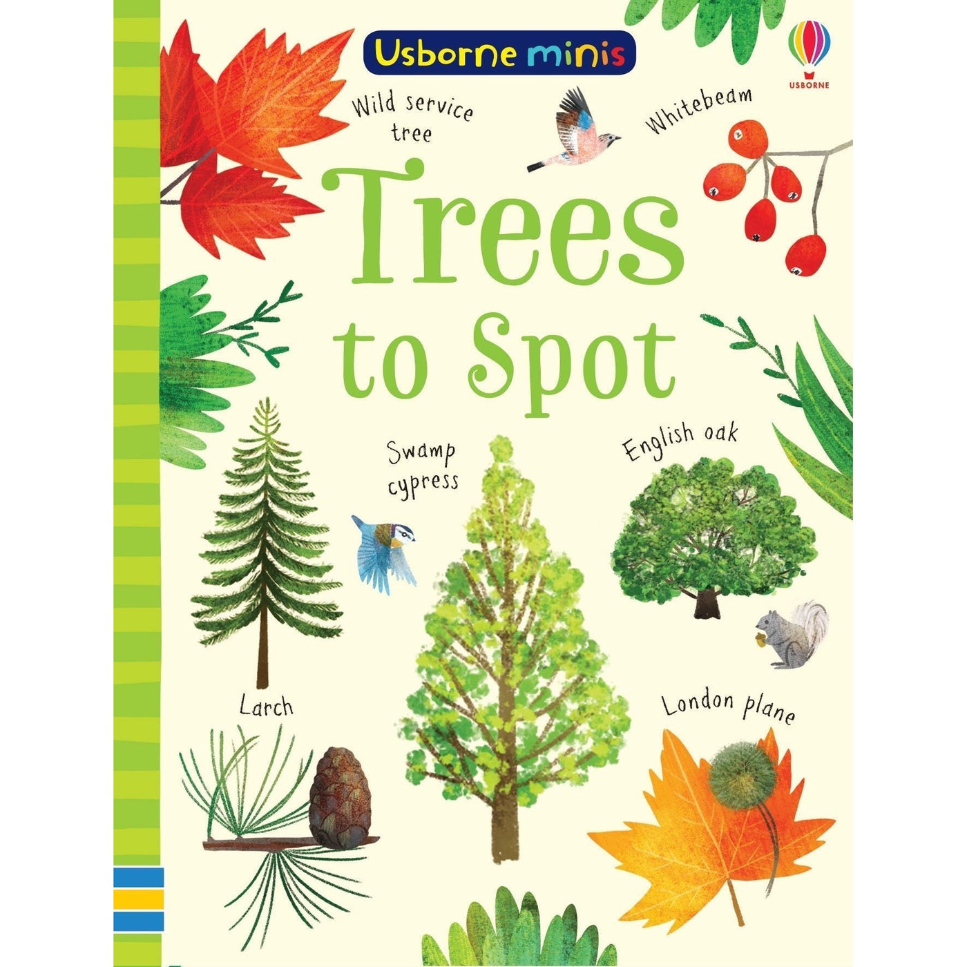 Trees To Spot By Kirsteen Robson & Sam Smith