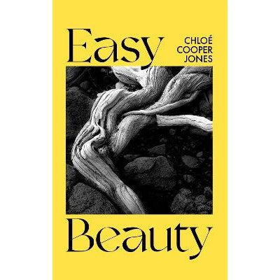 Easy Beauty: On Seeing and Being Seen