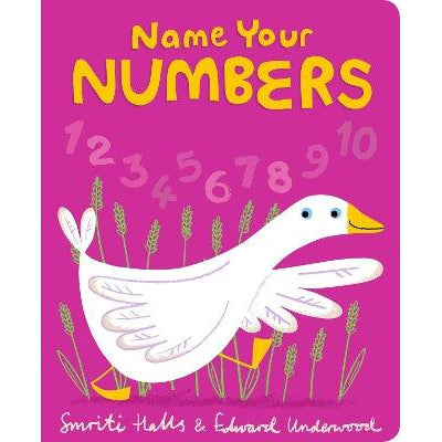 Name Your Numbers