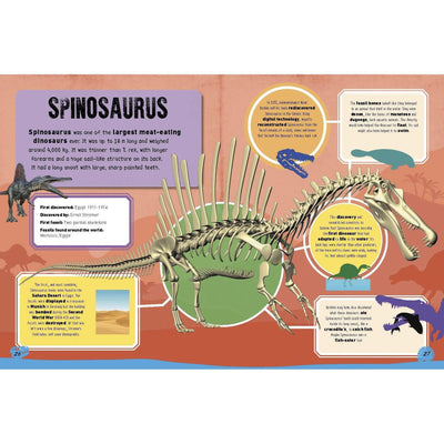 Dinosaur Bones And Fossils - Katie Woolley