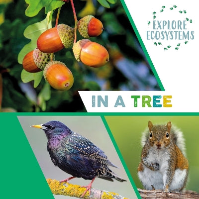 Explore Ecosystems: In A Tree