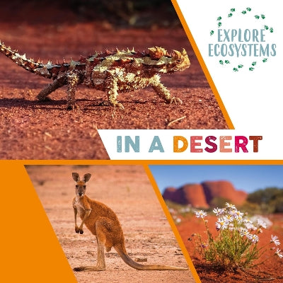 Explore Ecosystems: In A Desert