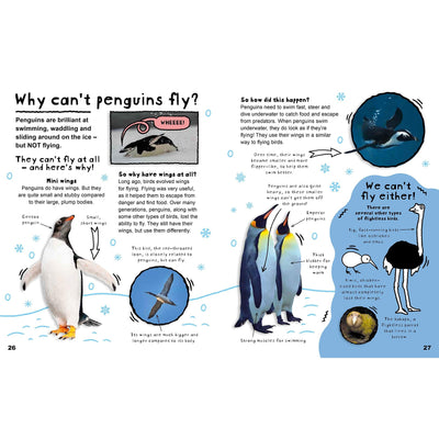 Why Can't Penguins Fly? And Other Questions About Animals (A Question Of Science) - Anna Claybourne