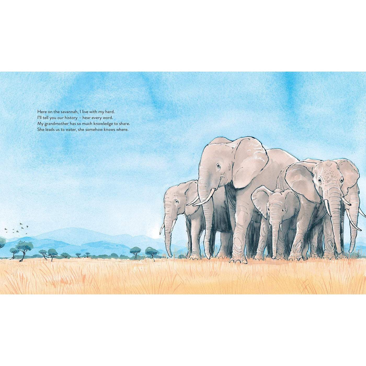 What The Elephant Heard - Charlotte Guillain & Sam Usher