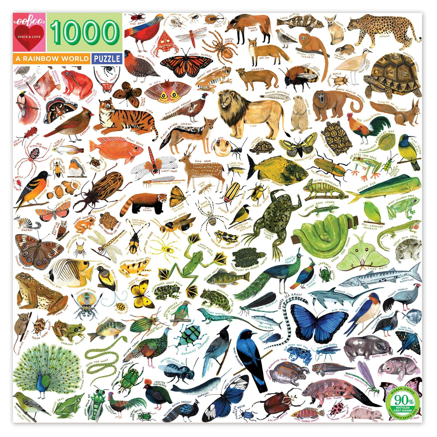 eeBoo 1000 Piece Puzzle - A Rainbow World