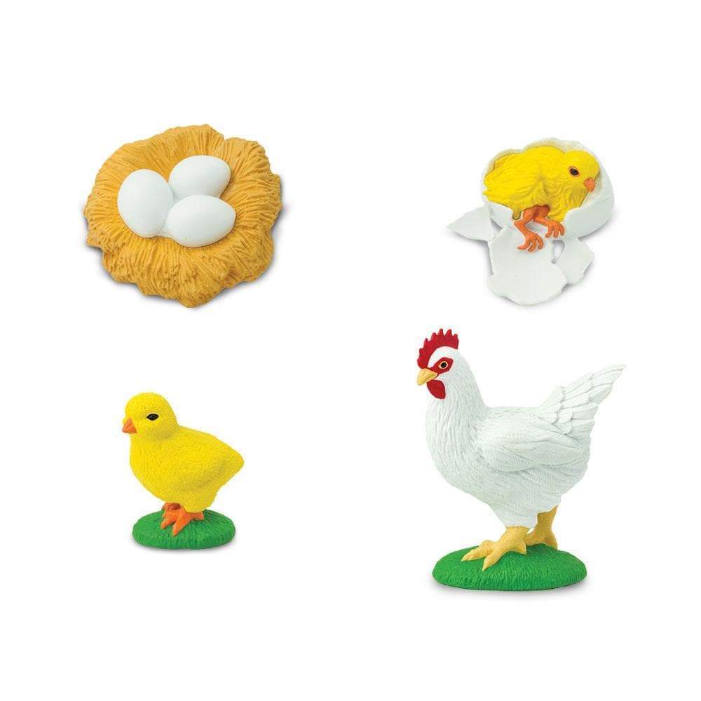 Life Cycle of a Chicken Safariology® Small World Figures