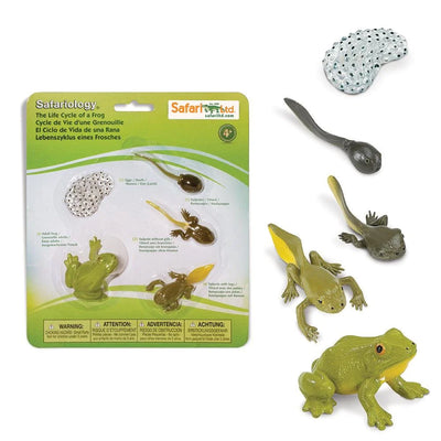 Life Cycle of a Frog Safariology® Small World Figures