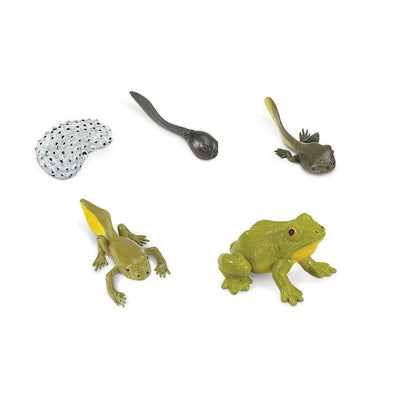 Life Cycle of a Frog Safariology® Small World Figures