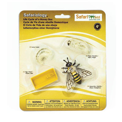 Life Cycle of a Honey Bee Safariology® Small World Figures