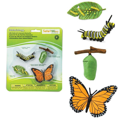 Life Cycle of a Monarch Butterfly Safariology® Small World Figures